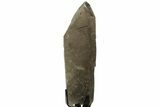 Smoky Quartz with Rutile Inclusions on Metal Stand - Brazil #219128-2